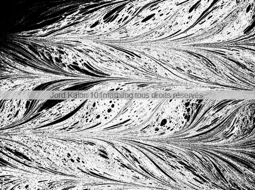 Product picture Marbling solo13 (plume)